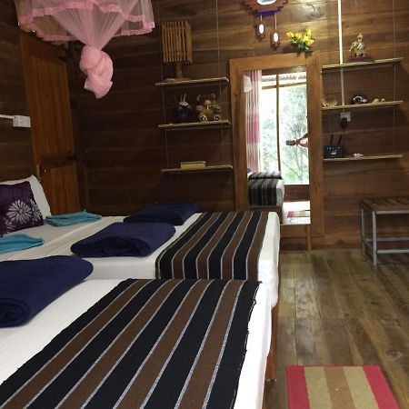 Ella Nature Nest Bagian luar foto