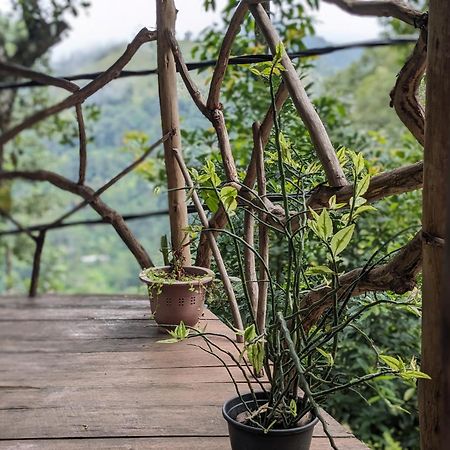 Ella Nature Nest Bagian luar foto