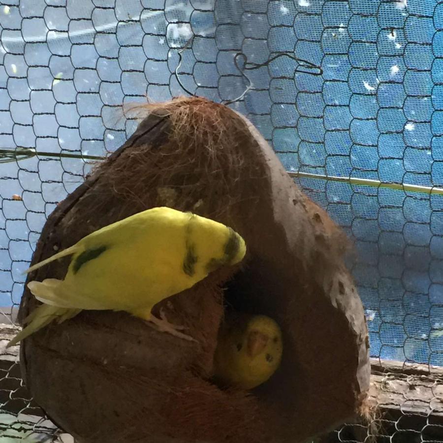 Ella Nature Nest Bagian luar foto