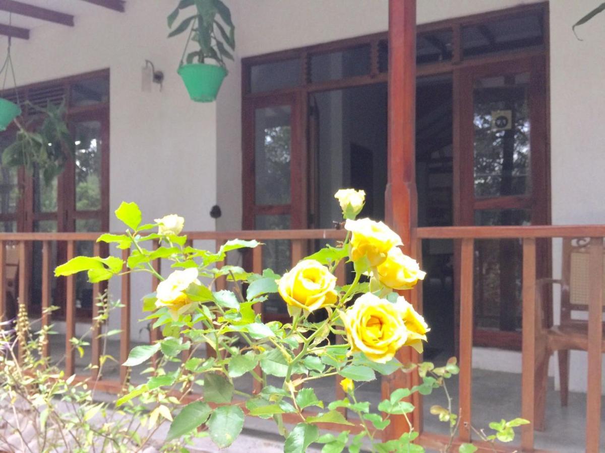 Ella Nature Nest Bagian luar foto