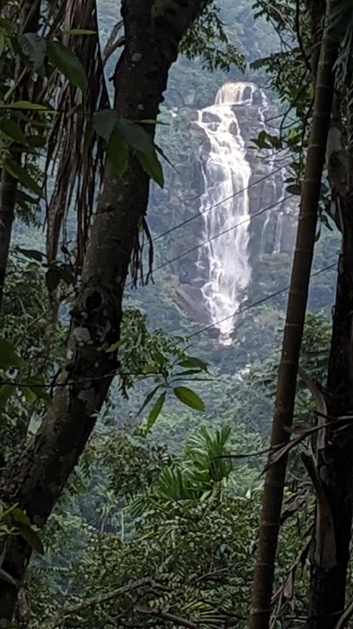 Ella Nature Nest Bagian luar foto
