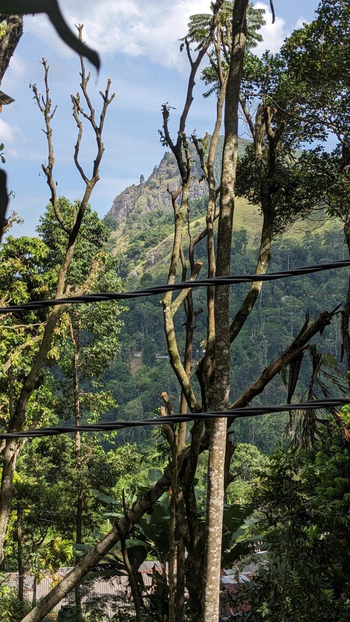 Ella Nature Nest Bagian luar foto
