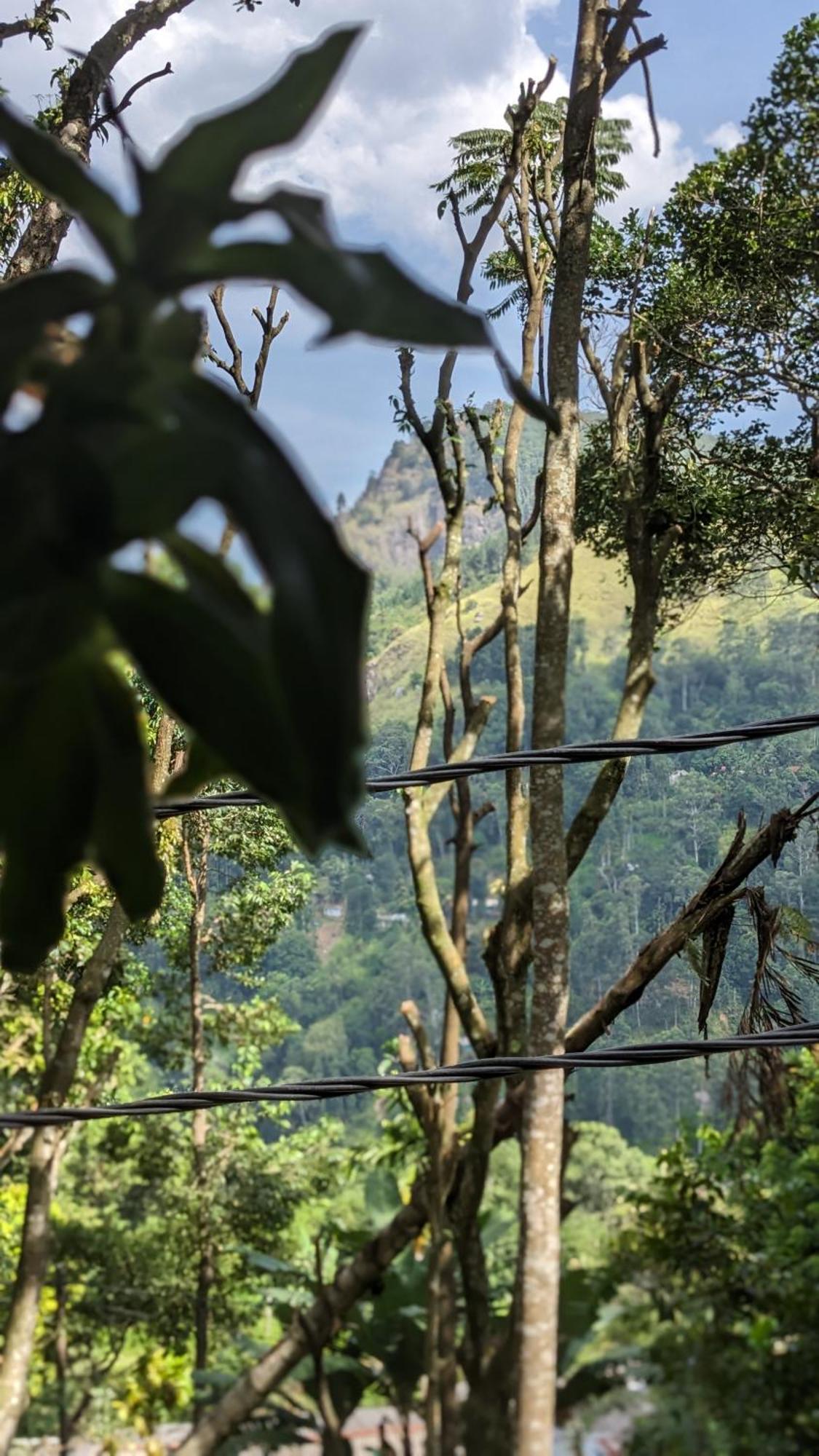 Ella Nature Nest Bagian luar foto