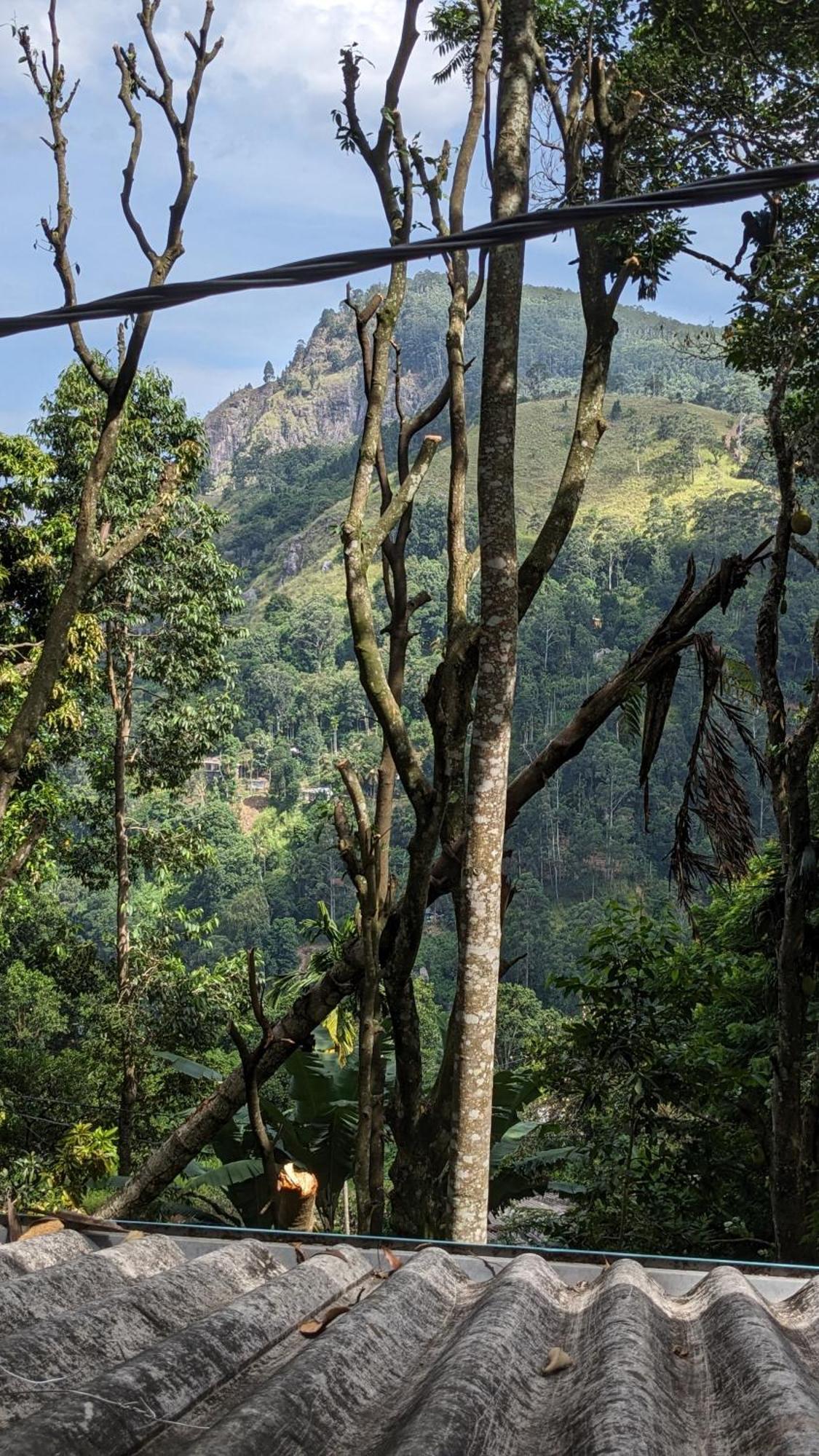 Ella Nature Nest Bagian luar foto