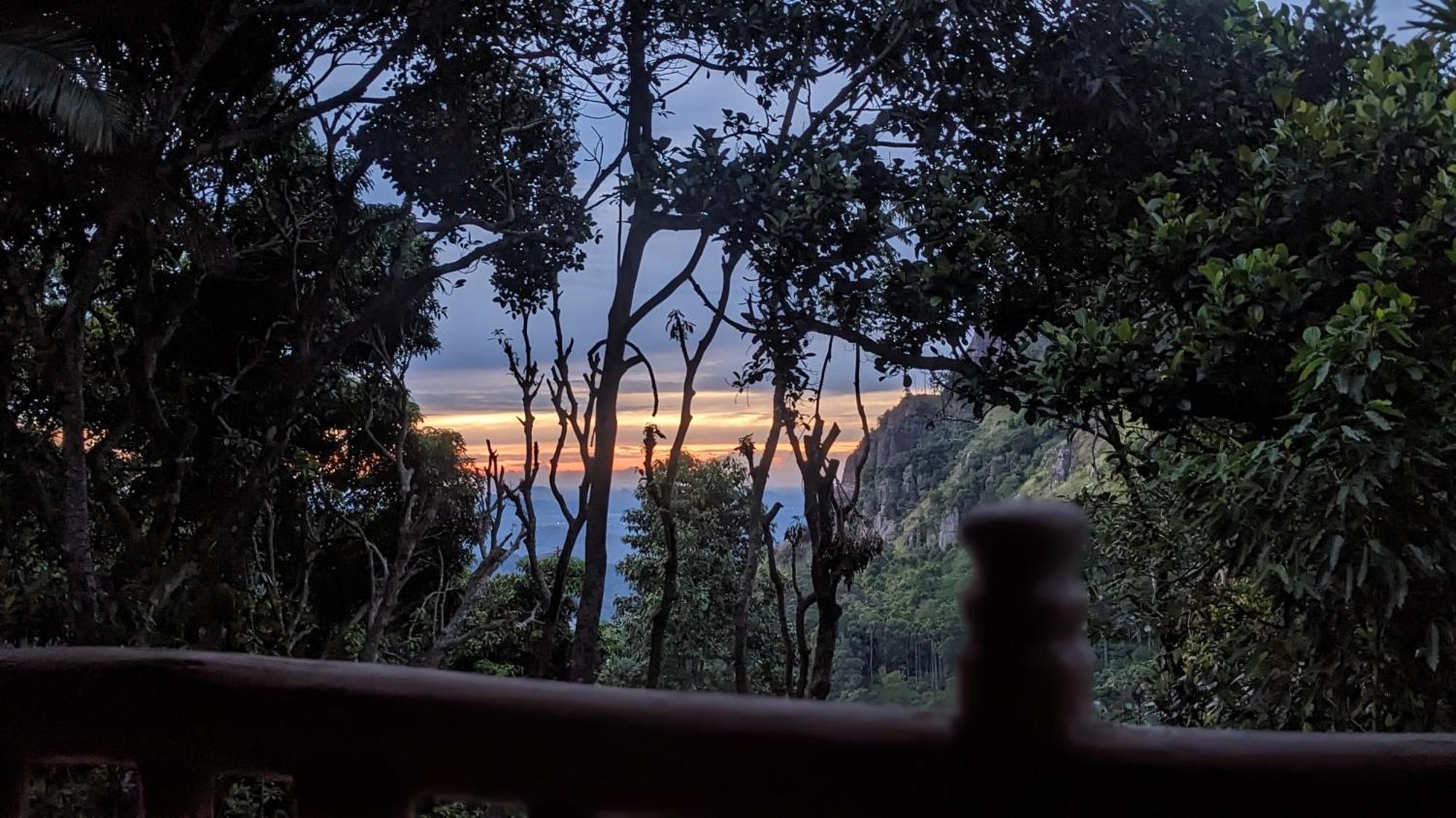 Ella Nature Nest Bagian luar foto