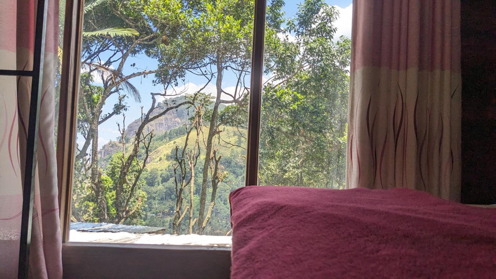 Ella Nature Nest Bagian luar foto