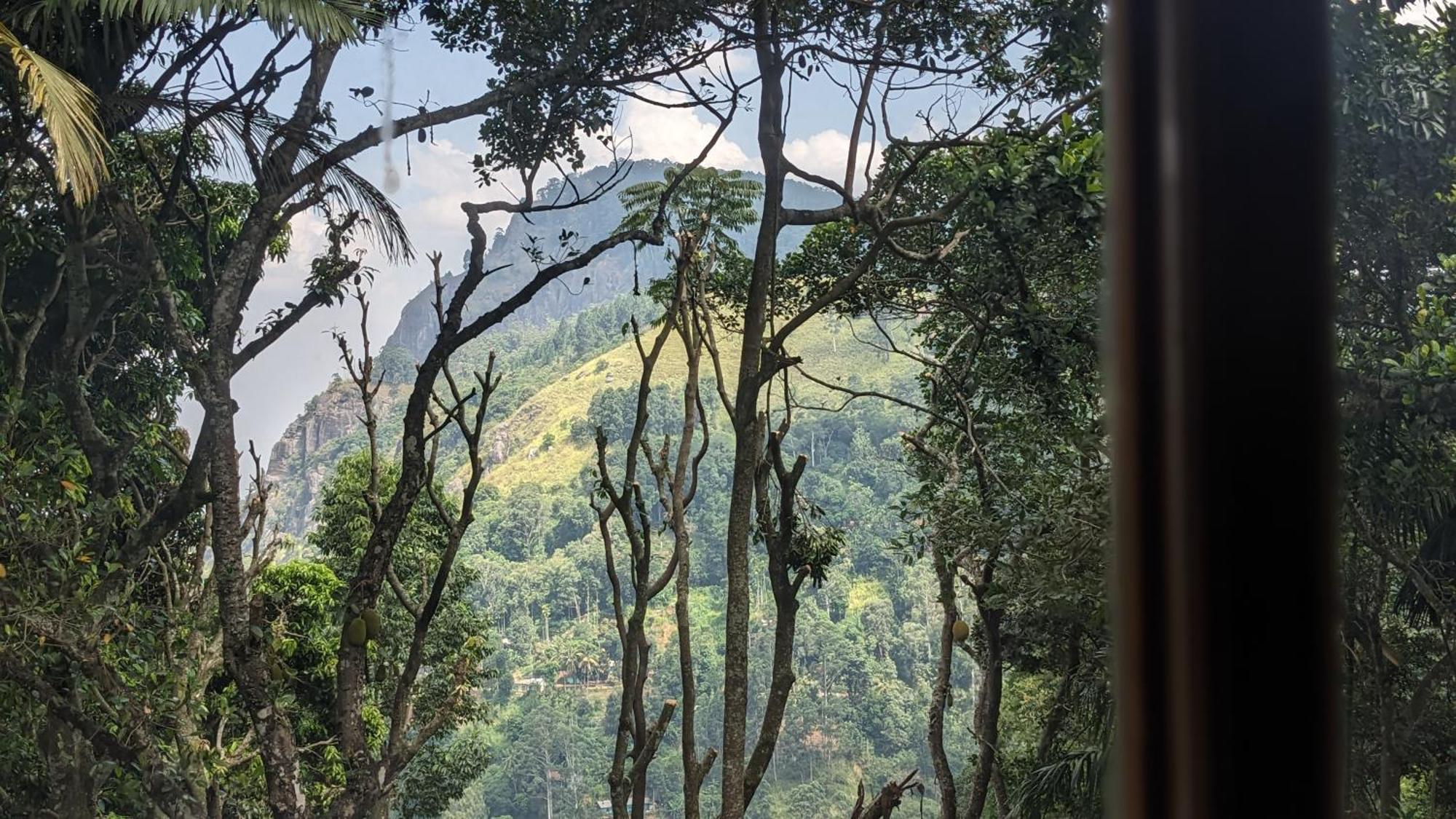 Ella Nature Nest Bagian luar foto