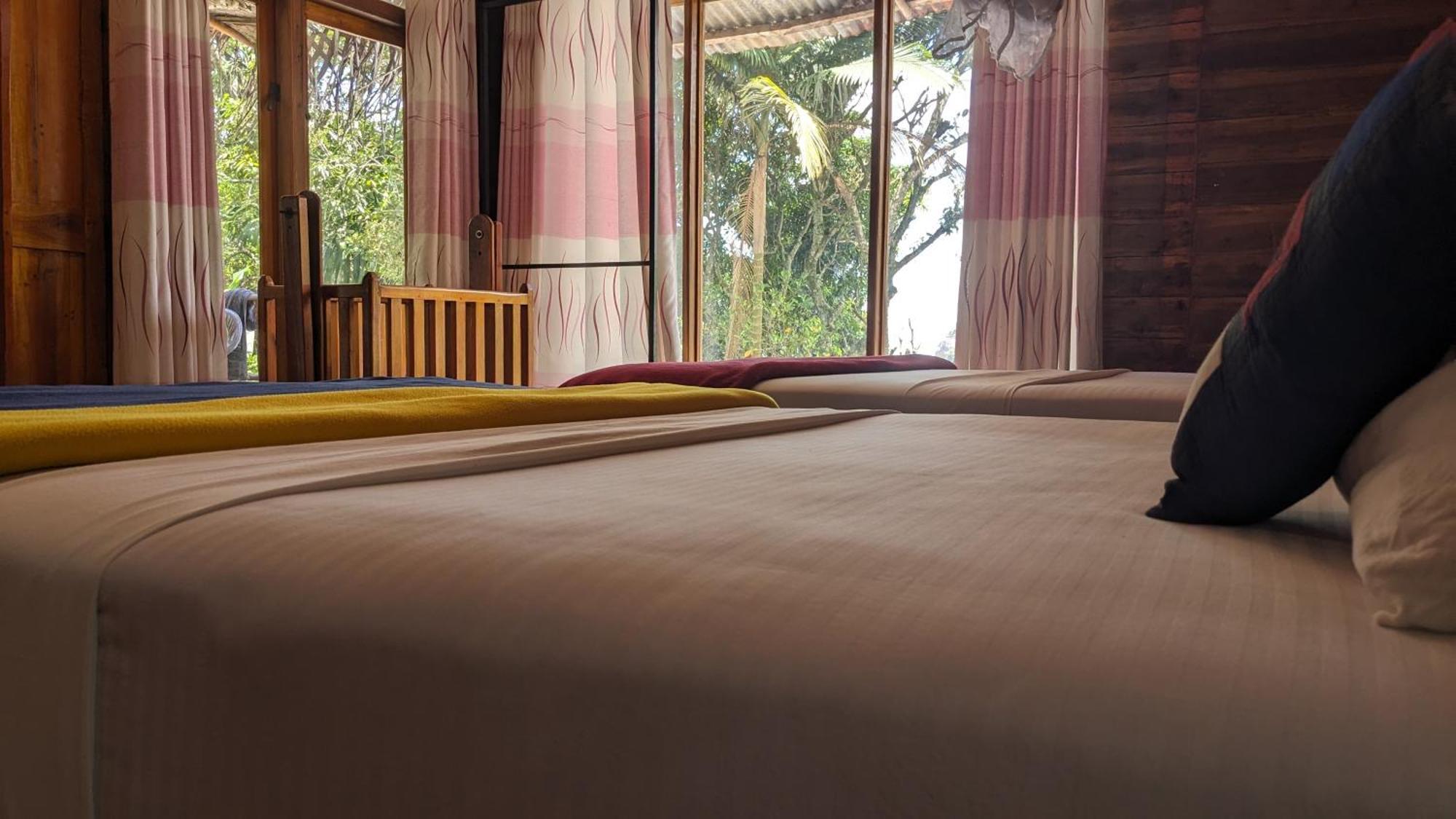 Ella Nature Nest Bagian luar foto