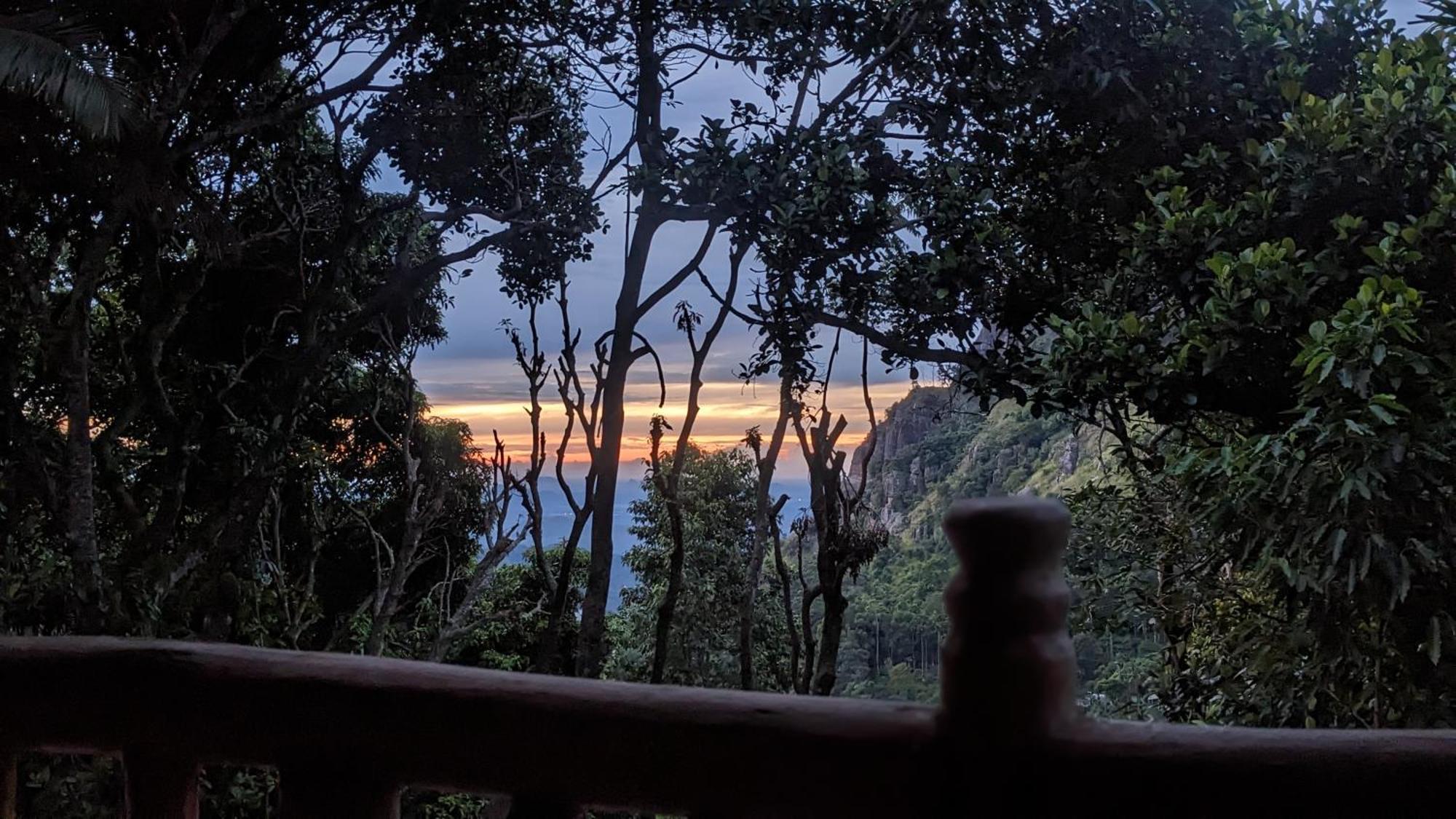 Ella Nature Nest Bagian luar foto
