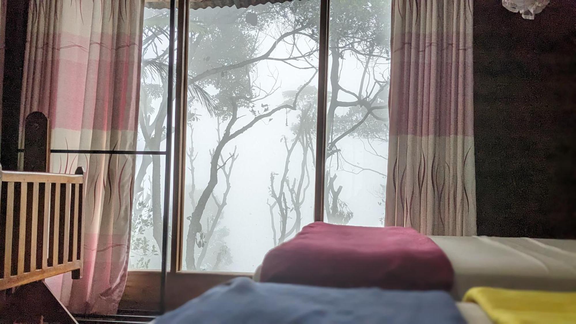 Ella Nature Nest Bagian luar foto
