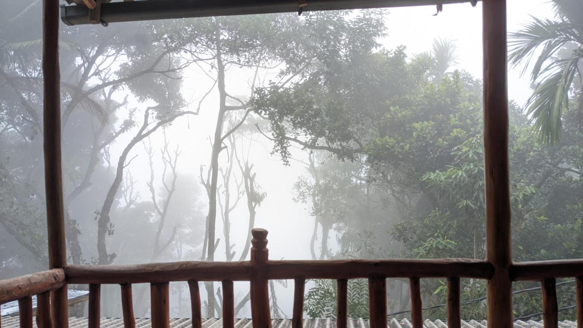 Ella Nature Nest Bagian luar foto