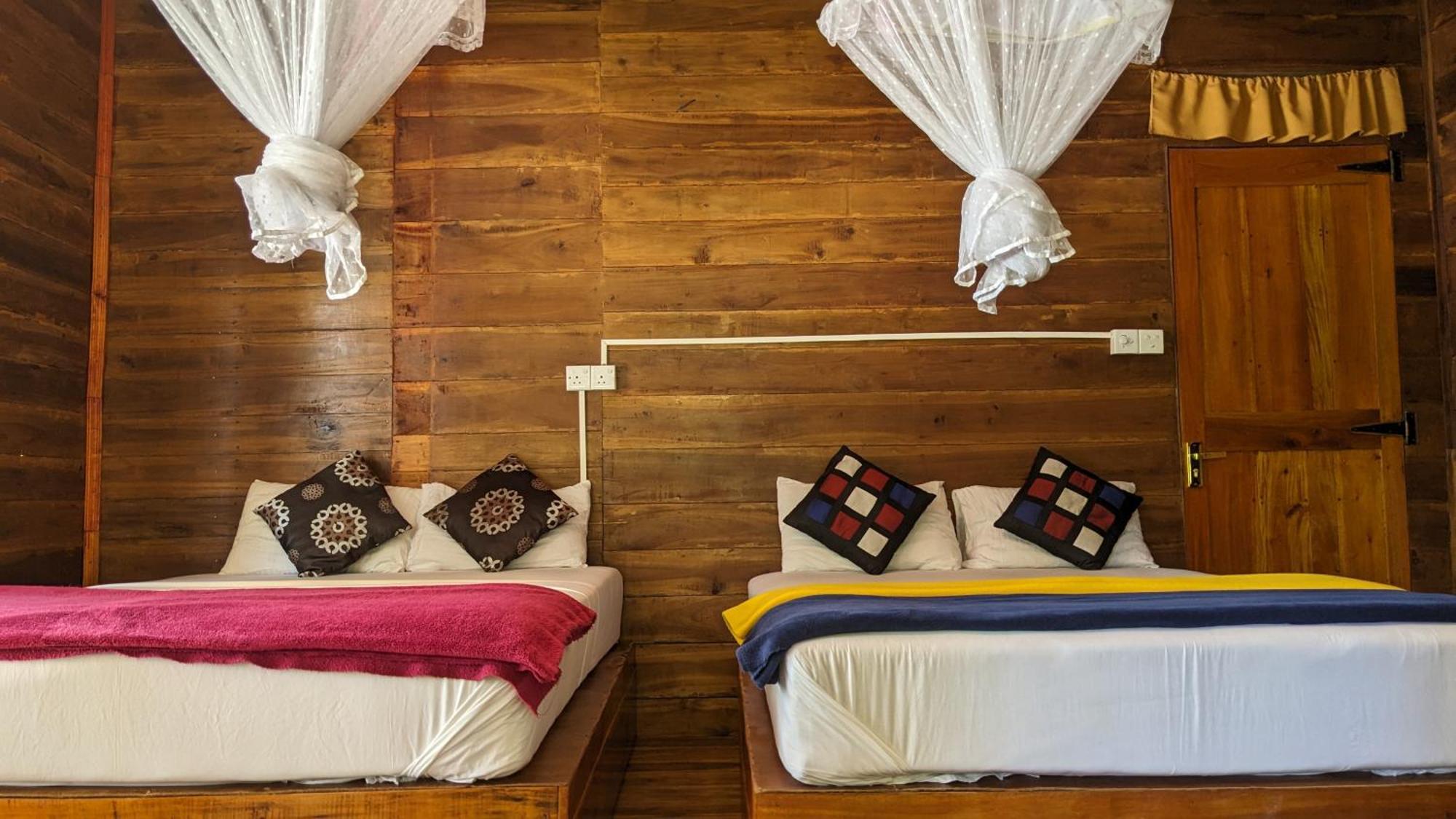 Ella Nature Nest Bagian luar foto