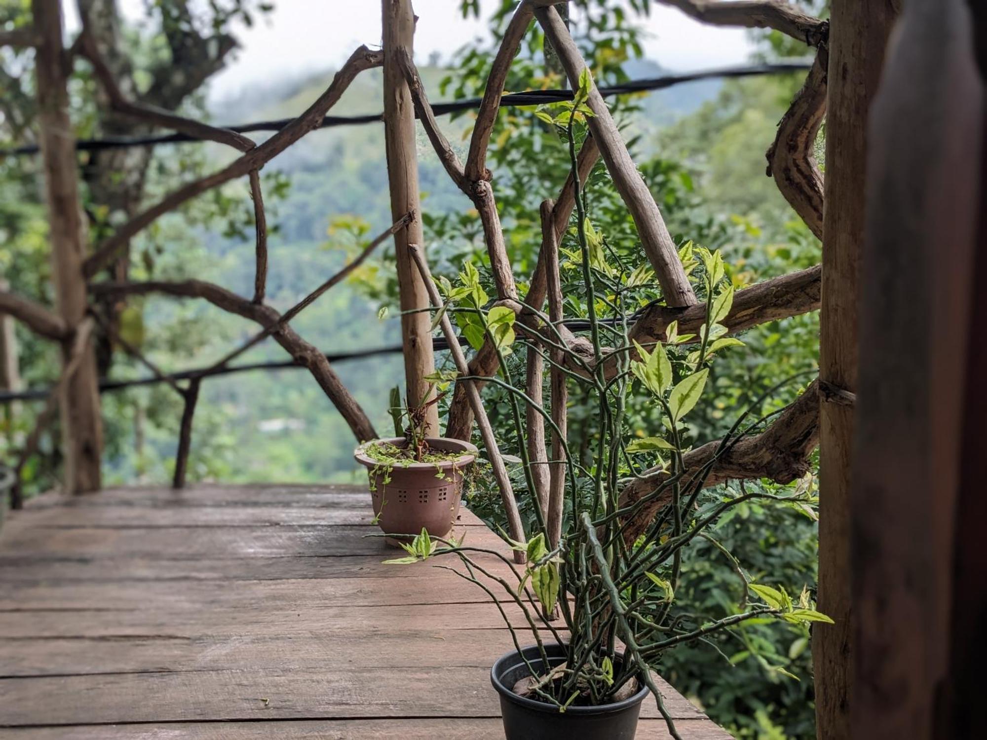Ella Nature Nest Bagian luar foto